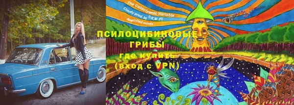 дживик Краснотурьинск