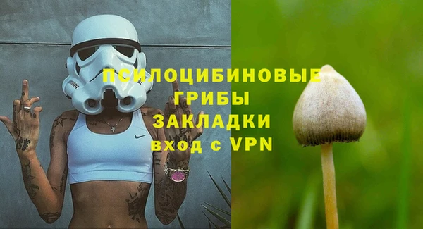 гидра Красноперекопск