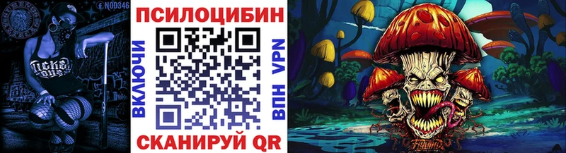 Галлюциногенные грибы Psilocybe  Купить закладки  Кохма 